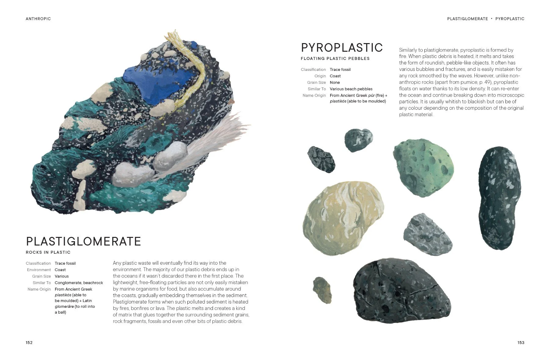 Rocks: A Guide to the Stones Around Us and the Stories They Tell